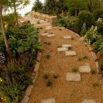 CHS_ExhibitionGardens_047