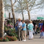 crowd plant market web