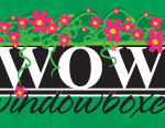 wow_windowboxes